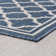 Danesfield Indoor / Outdoor Rug