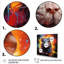 Pop Art, cochon d'Inde 2 - art mural rongeurs-1159184878-1159184875