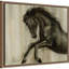 «Dynamic Stallion II» par Ethan Harper, reproduction d'art sur toile encadrée-100654183
