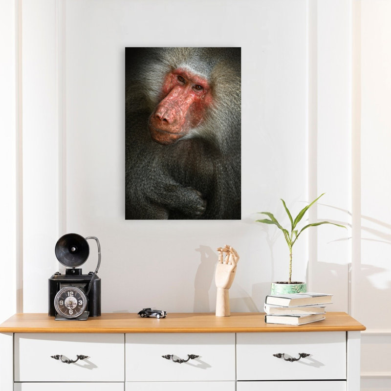 Baboon Contemporary Monkey Portrait Architecture Wall Art Print 1 Piece Wrapped Canvas Wall Art, 60.96cm H x 40.64cm W
