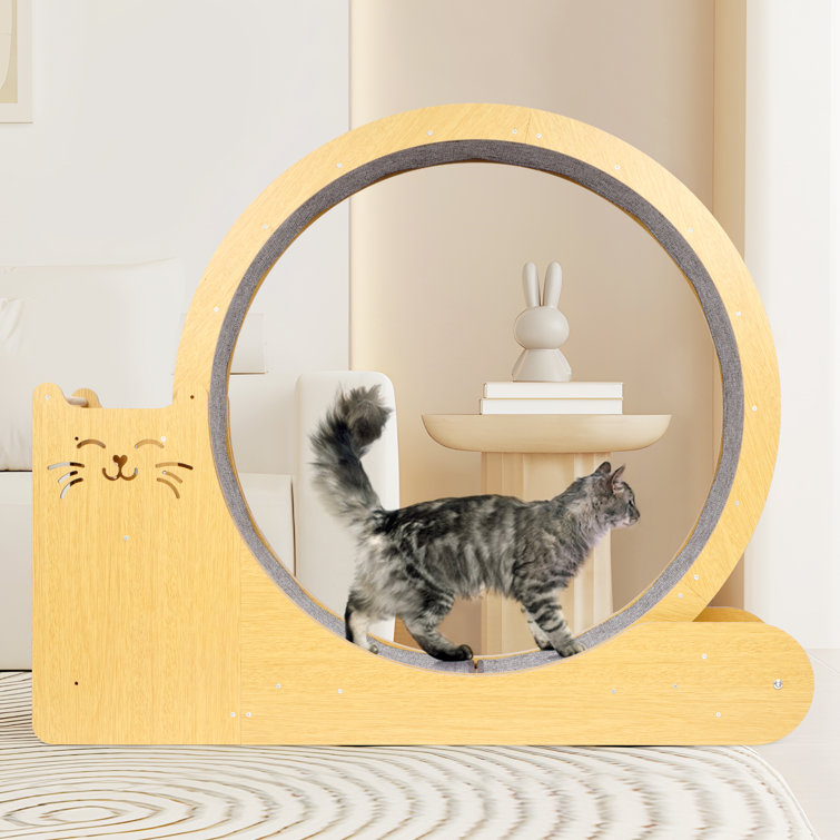 Tucker Murphy Pet™ Dailan Cat Exercise Running Wheel Treadmill