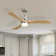 Nicola 52'' 3 - Blade Modern Ceiling Fan with Remote Control and Light Kit