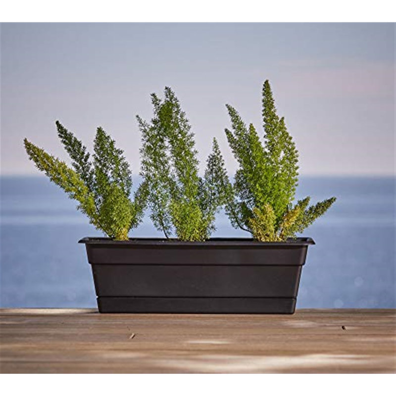 Kiyohara Window Box Planter, 8" H x 10" W x 24" D, Brown 