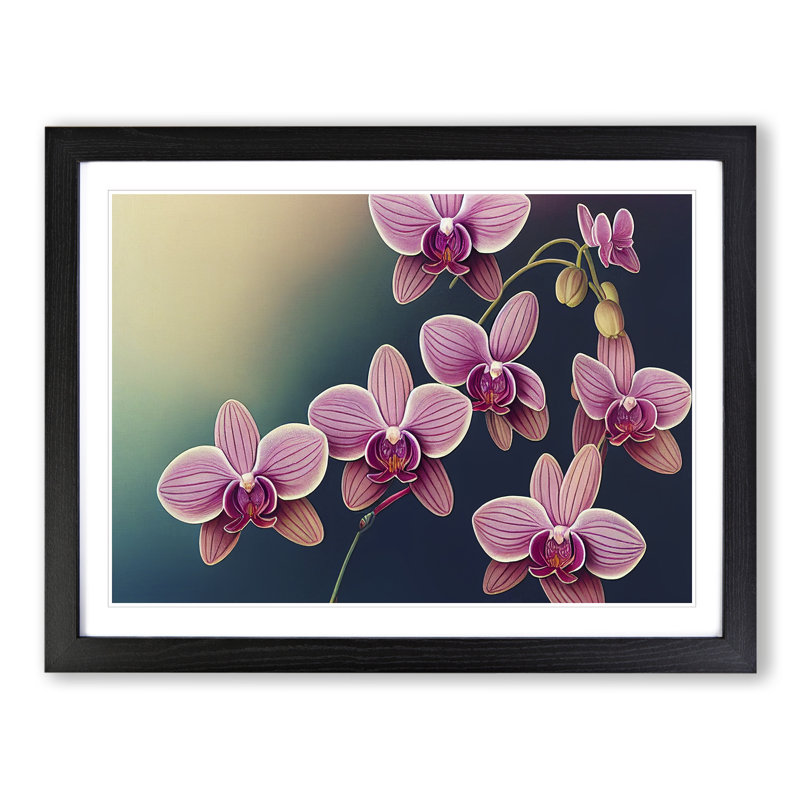 Cheerful Orchid Flowers - Single Picture Frame Print, 34cm H x 46cm W x 2cm D, Black