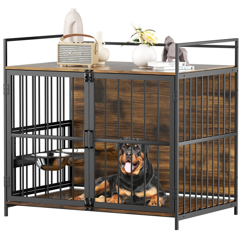 Cage pour chien robuste pour l'intérieur, Grand (H 43 po x l 48 po x P 30,3 po)