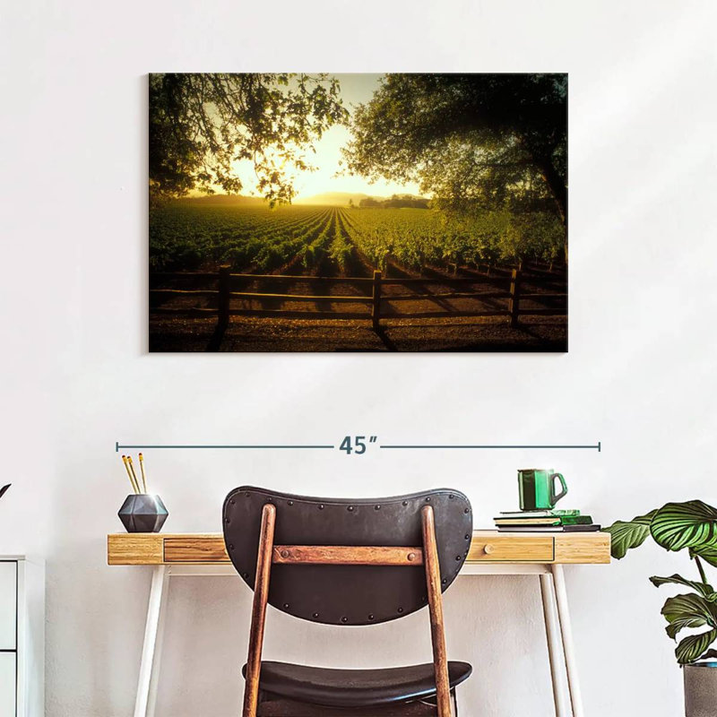 Alvord Oakville Vineyard, H 26 po x l 39 po