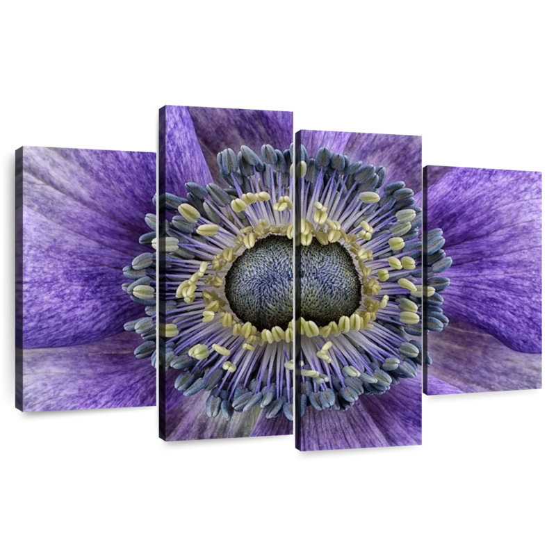 Harnek Purple Flower Close Up