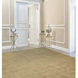 Area Rug in Beige