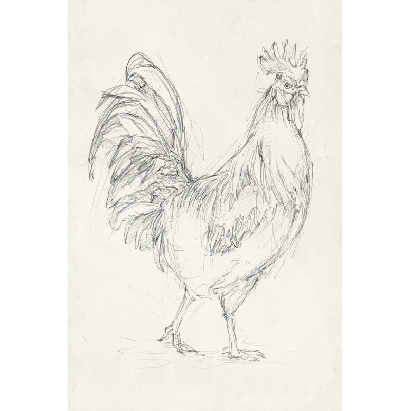 Rooster Sketch I by Ethan Harper - Wrapped Canvas Art Prints, 76cm H x 51cm W