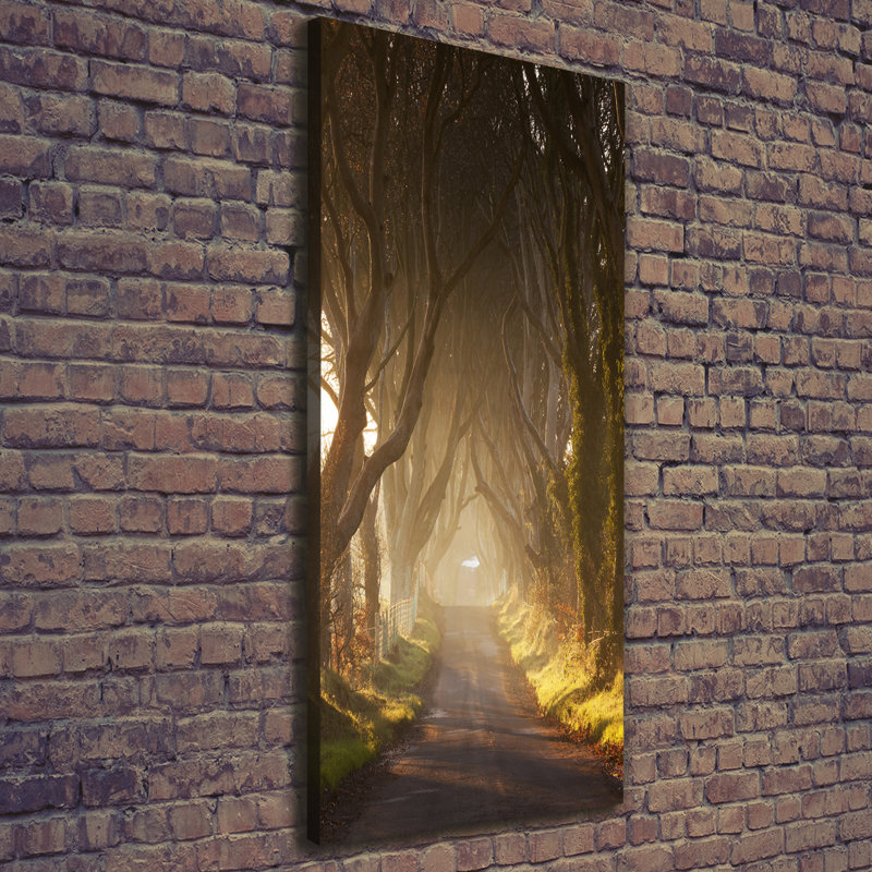 Union Rustic Path in the Forest - Wrapped Canvas Art Prints | Wayfair.co.uk