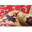 Tapis rouge Finest Ghazni 7 pi 9 po x 10 pi 1 po
