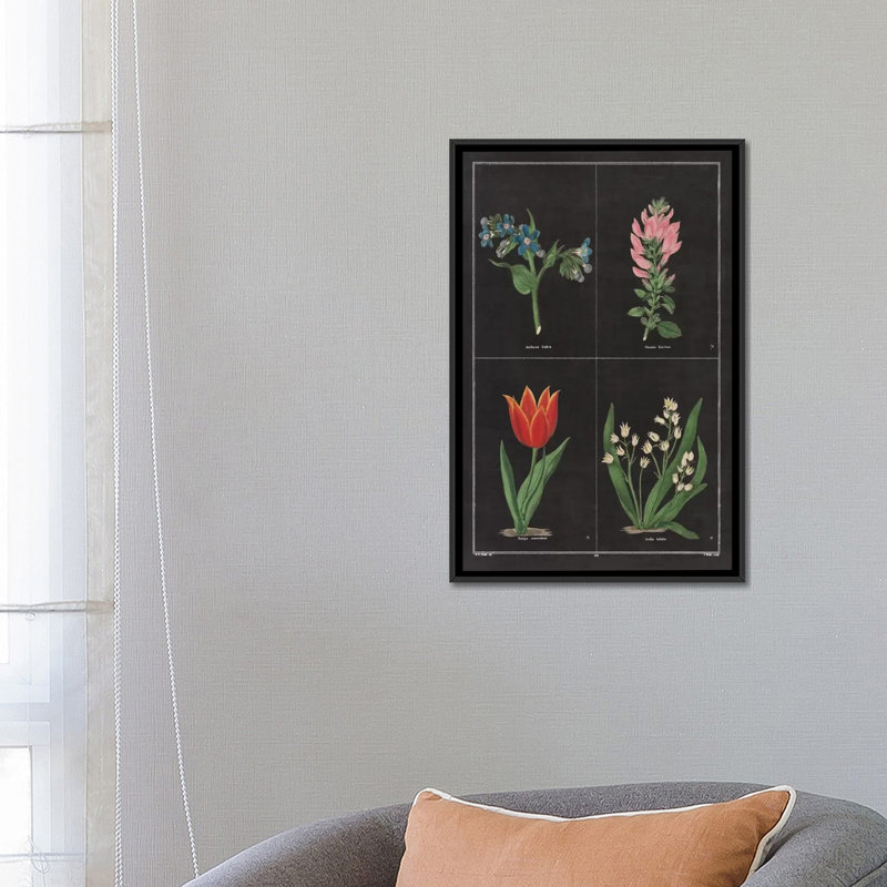 «Botanical Chart III», impression sur toile tendue, H 26 po x l 18 po x P 1,5 po, Toile encadrée noire, Pas de tapis