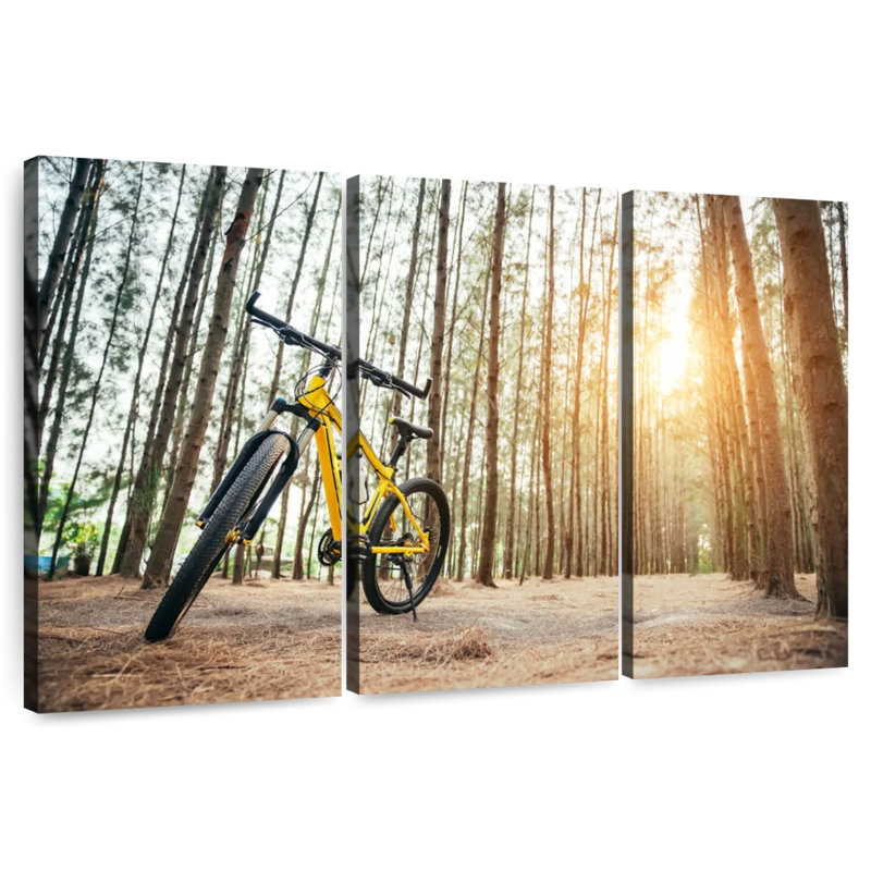 Mehar Mountain Bike, 32" H x 50" W