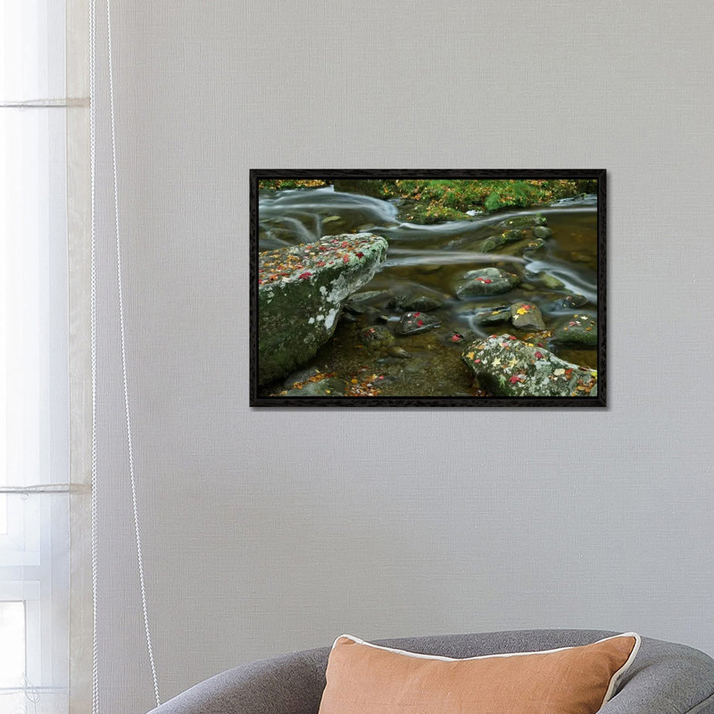 Laurel Creek, Great Smoky Mountains National Park, Tennessee 1 Piece Wall Art on Canvas, 66.04 cm H x 45.72 cm W
