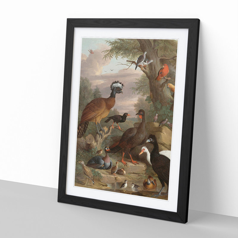 Collection of Birds Vol.1 by Melchior D'hondecoeter - Picture Frame Painting, Black, 48cm H x 36cm W x 2cm D