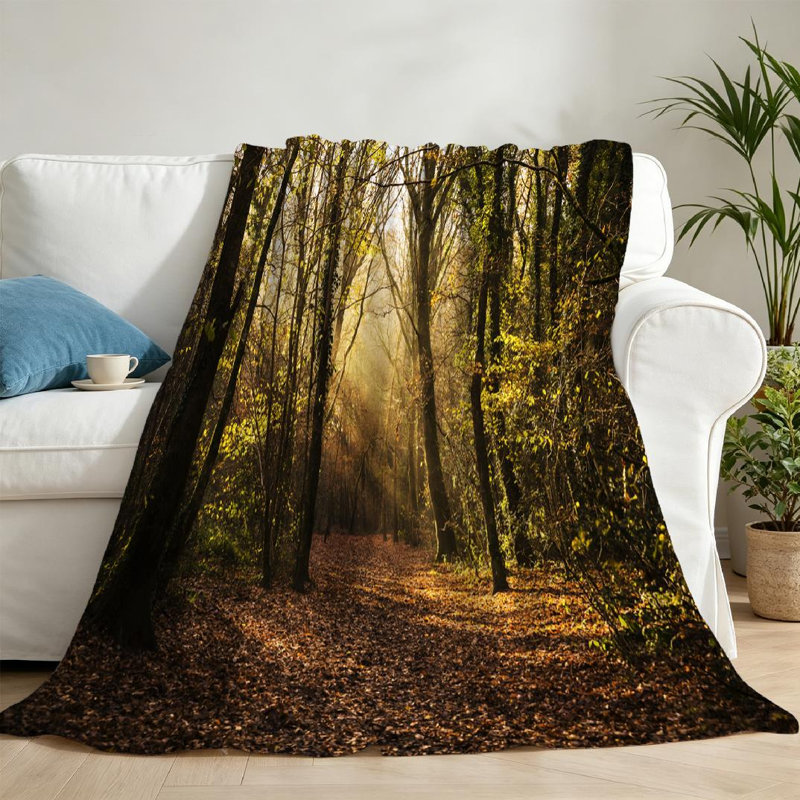 Jeté transparent en flanelle de polaire ultra douce, imprimé Misty Woodland Path, Jeté 50 po x 60 po