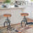 Jenaiah Swivel Adjustable Height Counter Stool with Metal Frame