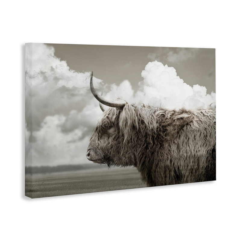 Art mural sur toile Longhorn, H 16 po x l 24 po