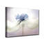 « anemone », impression sur toile-29604887