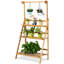 Roxanne Ladder Bookcase
