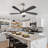 Einy 52'' Ceiling Fan with LED Lights-1808981235-1808981234