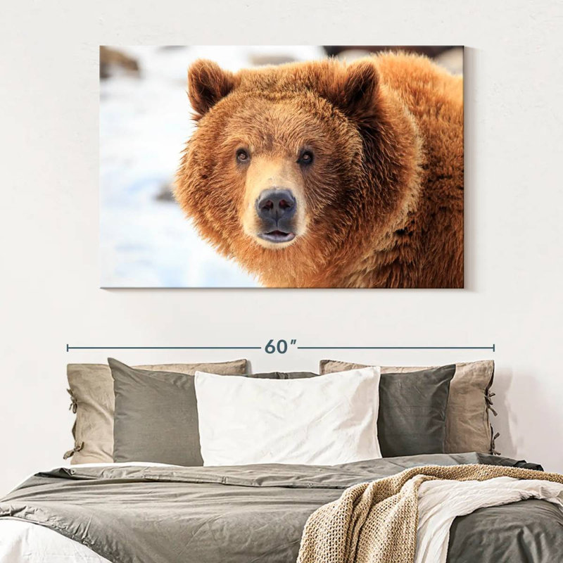 Grizzly Bear Stare, 34" H x 51" W