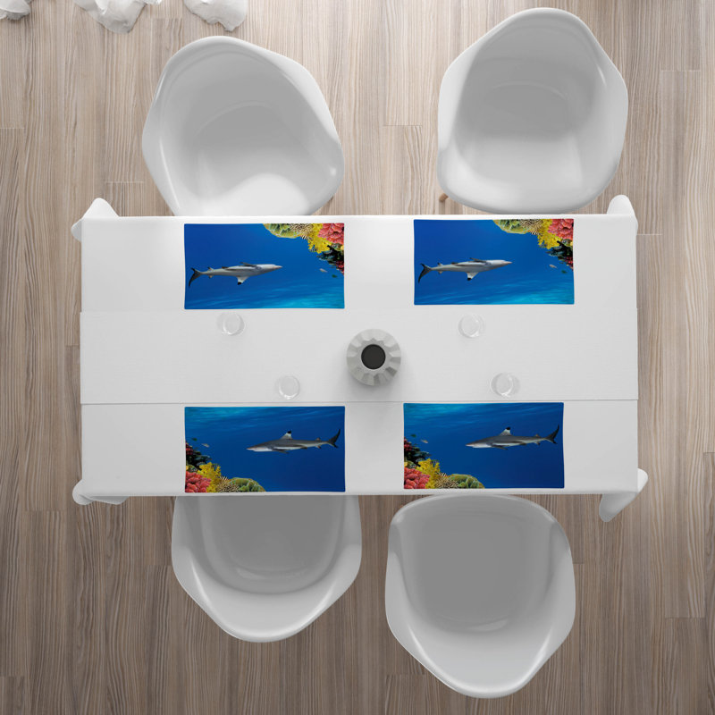 Récapitulatif 18,5" shark