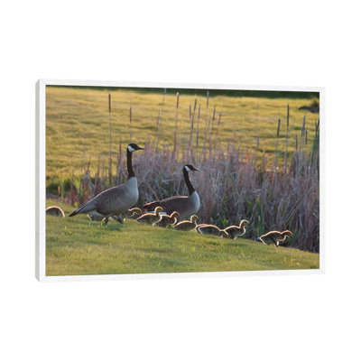 Heading To The Pond by Steve Toole - Gallery-Wrapped Canvas Giclée on Canvas