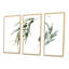 «Minimalistic Eucalyptus Branches», ensemble de 3 impressions sur toile-977240432-977240434