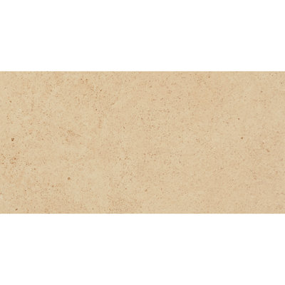 Party Time Semi-Polished 12'' W x 24'' L Porcelain Concrete Look Singular Tile