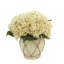 Hydrangea in Distressed Glaze Planter