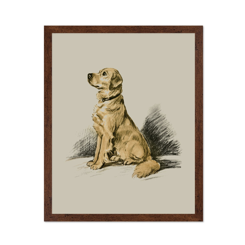 Labrador Retriever No1, Affiche, H 24 po x l 32 po, Encadrement brun