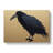 XXX-H1022-WF-7333X Raven Bird Vol.3 - Wrapped Canvas Print