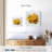 Harnek Brilliant Tulip