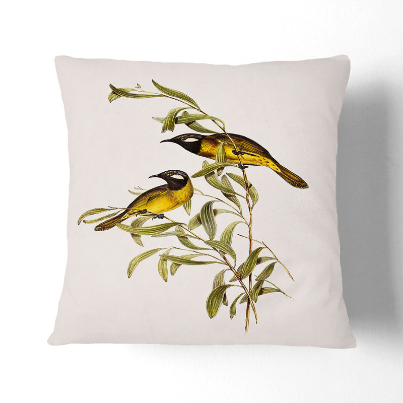 Double Eared Honeyeaters by Elizabeth Gould Cushion with Filling, 55cm H x 55cm W x 20cm D
