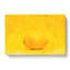 Lemon Yellow - Wrapped Canvas Print-61838883