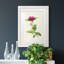 «Pretty Botanicals II», cadre photo-341834863-341834861
