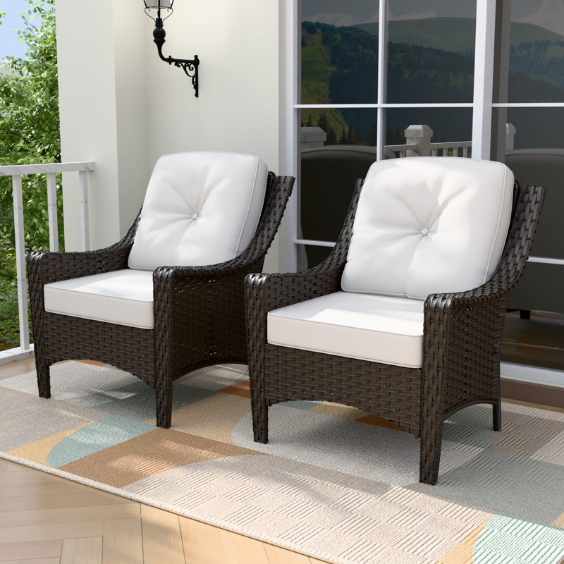 Ensemble de chaises d'extérieur en rotin avec coussins en osier (ensemble de 2), Beige