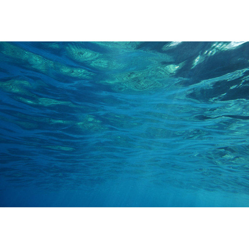 «Underwater Surface Texture», impression sur toile tendue, H 8 po x l 12 po x P 1,25 po