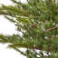 84' H Artificial Christmas Tree