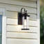 Luminaire de grange d'extérieur 1 lumière Dopson-119609383
