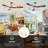 Frankin 52'' Solid Wood Ceiling Fan with LED Lights-772672697