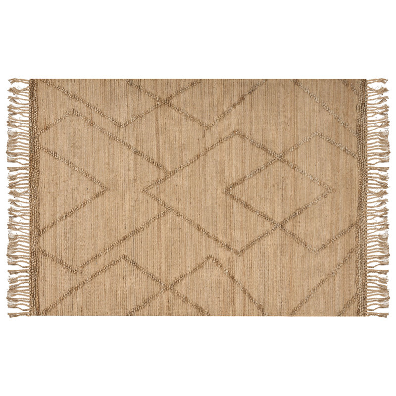 Isenbert Geometric Hand Woven Area Rug, Rectangle 200 x 300cm