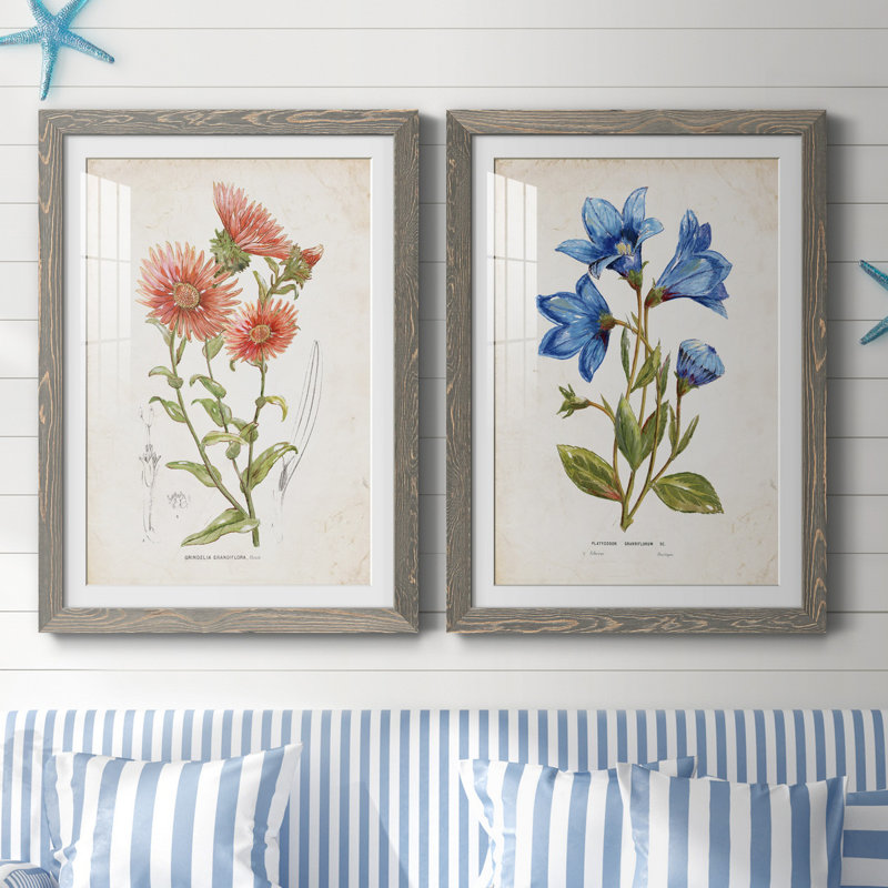 «Botanical I», ensemble de 2 reproductions d'art, Blanc, Cadre en papier gris, H 37,5 po x l 55 po x P 1,5 po