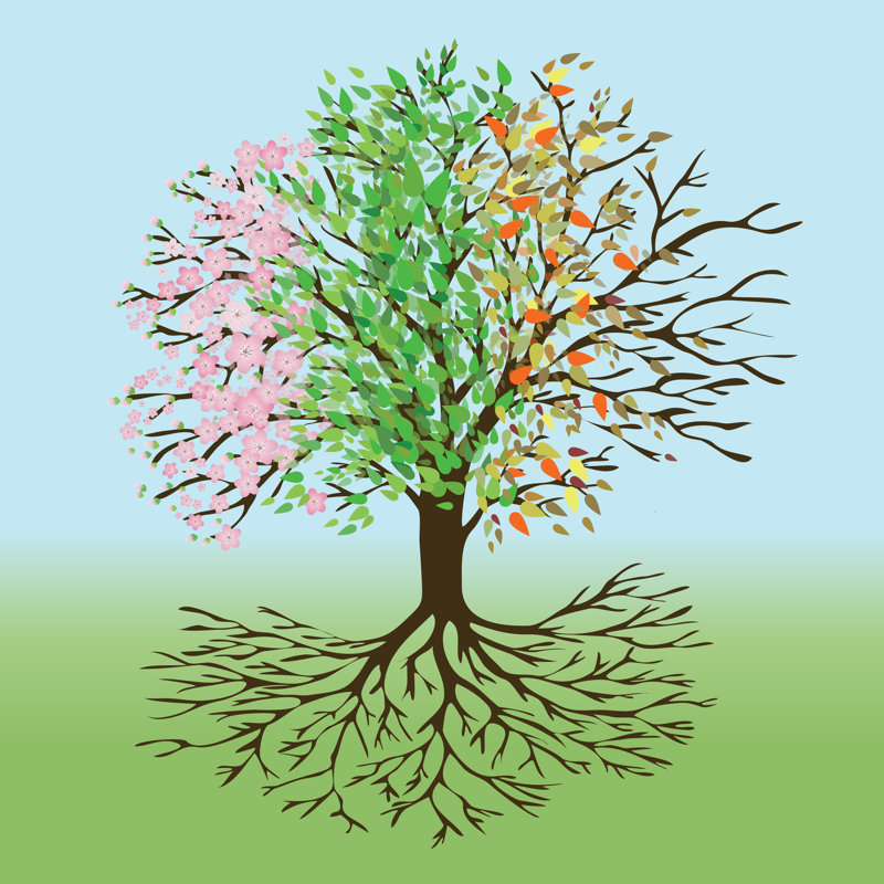 Chellsey Tree Of Four Seasons - Wrapped Canvas Painting, 30cm H x 30cm W x 3.8cm D