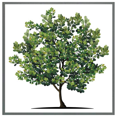 Evaro Tree - Single Picture Frame Print