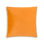 Noah Velvet Square Accent Pillow