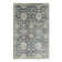 Oriental Indoor Rug