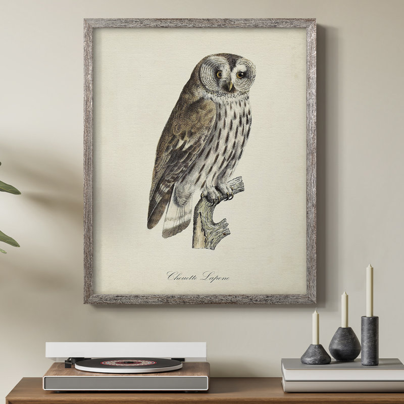 «French Owls III», reproduction encadrée - bois massif, H 30 po x l 24 po