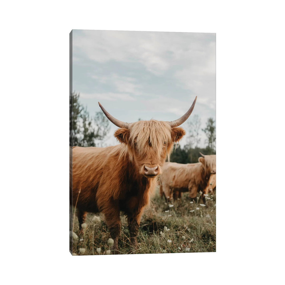 Highland Cow by Chelsea Victoria - Wrapped Canvas Gallery-Wrapped Canvas Giclée